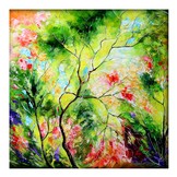 Nature V