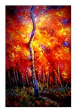 Seasons 1 Large